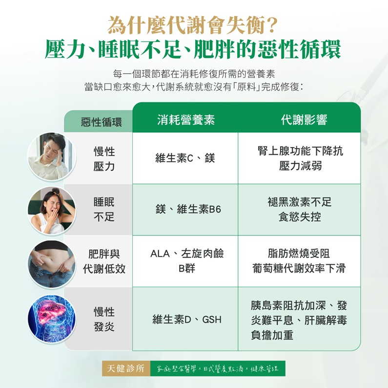 壓力 睡眠不足 代謝失衡 