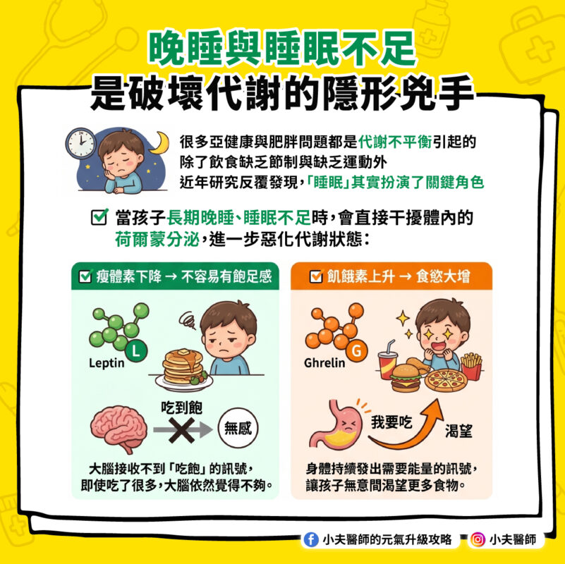 晚睡 睡眠不足 荷爾蒙分泌
