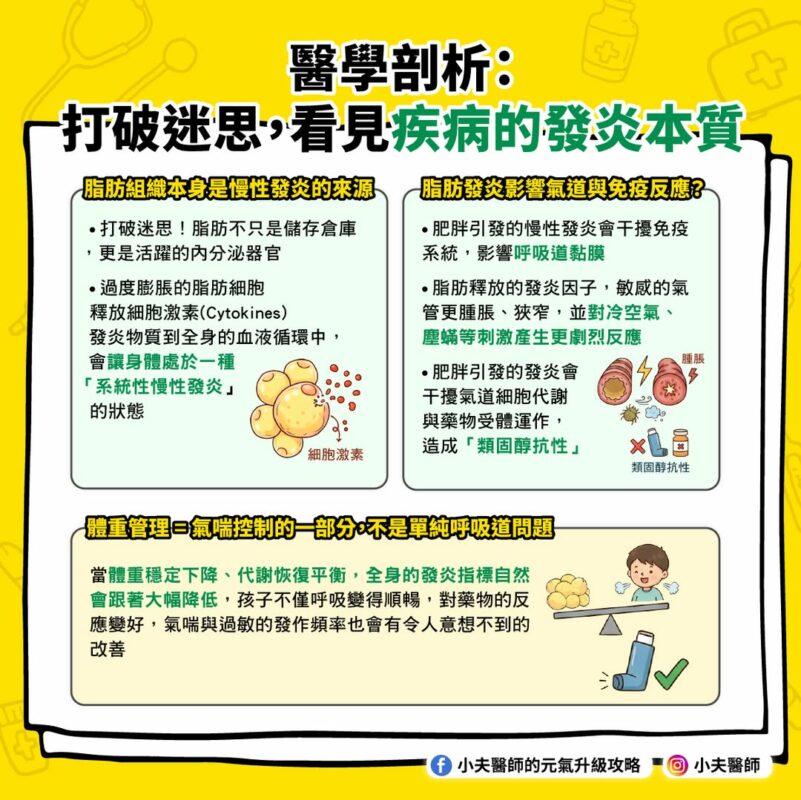 脂肪發炎 免疫系統 體重 呼吸