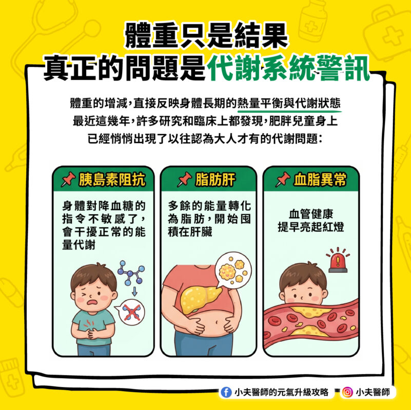 體重 代謝 兒童