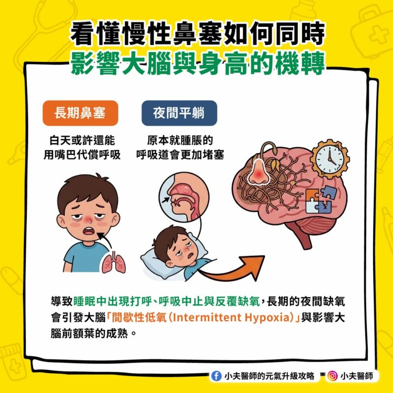 慢性鼻塞 影響大腦