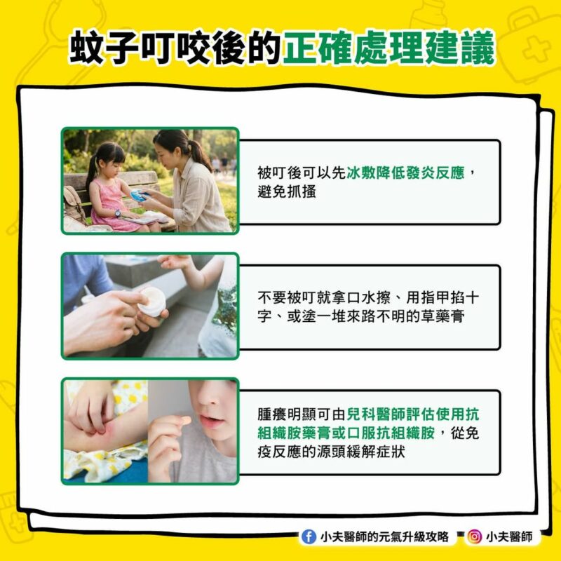 蚊子最愛叮哪種小孩?破解蚊子叮咬的五大都市傳說 被蚊子叮咬 處理方式