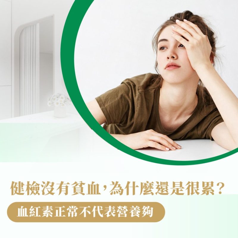 健檢 貧血 營養