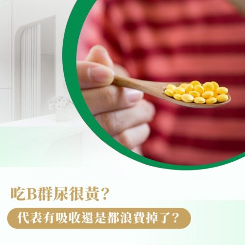B群 吸收 尿液